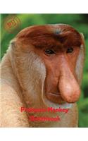 Proboscis Monkey Sketchbook: (Sketchbook for Teens)