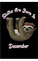 Sloths Are Born in December