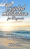 Guided Meditation for Beginners