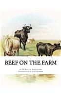 Beef on the Farm