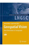Geospatial Vision