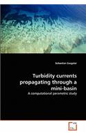 Turbidity currents propagating through a mini-basin