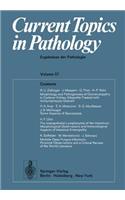 Current Topics in Pathology / Ergebnisse Der Pathologie