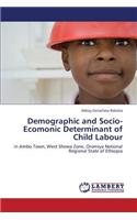 Demographic and Socio-Ecomonic Determinant of Child Labour