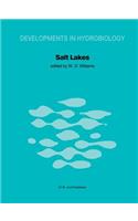 Salt Lakes