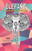 Malbücher von Tieren für Erwachsene - Billiger als 10 Euro - Tiere - Elefant
