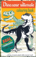 dinosaur ultimate colouring book: Chase away the stress and relax by colouring the ancient animals -is also usable by the children, teenagers, toddlers, girls, boys -a good gift.