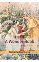 A Wonder Book