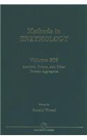 Amyloid, Prions, and Other Protein Aggregates