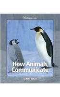 How Animals Communicate