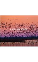 A Million Wings