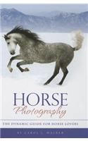 Horse Photography