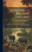 Vertebrate Fauna Of Lakeland