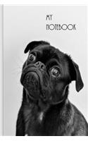 My Notebook