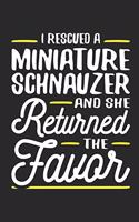 I Rescued a Miniature Schnauzer and She Returned the Favor
