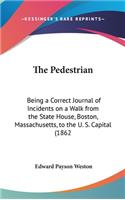 The Pedestrian
