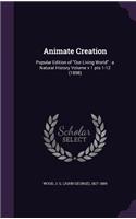 Animate Creation