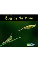 Bugs on the Move: (Comparing Bugs)
