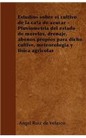 Estudios sobre el cultivo de la caña de azúcar - Pluviometría del estado de morelos, drenaje, abonos propios para dicho cultive, meteorología y física agrícolas