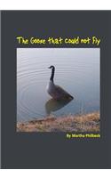 The Goose that could not fly: The saga of a late achiever