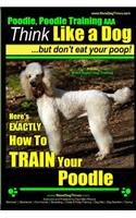 Poodle, Poodle Training AAA AKC