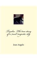 Tundra The true story of a most majestic dog