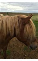 A Shaggy Brown Icelandic Pony in a Mountain Pasture Journal: 150 Page Lined Notebook/Diary