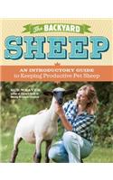 Backyard Sheep