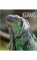 Iguanas