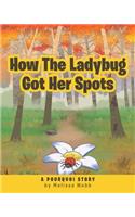 How The Ladybug Got Her Spots