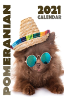 Pomeranian 2021 Calendar