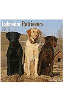 Labrador Retrievers Calendar 2018