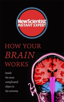 How Your Brain Works: (English)