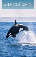 WHALES 2023 SQUARE WALL CALENDAR