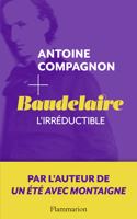 Baudelaire l'irreductible