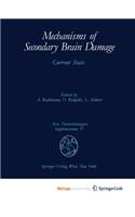 Mechanisms of Secondary Brain Damage