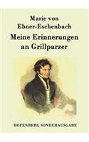 Meine Erinnerungen an Grillparzer: (German)