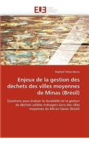 Enjeux de la Gestion Des Déchets Des Villes Moyennes de Minas (Brésil)