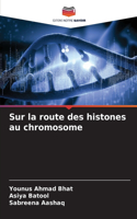 Sur la route des histones au chromosome