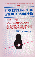 Unsettling the Bildungsroman: Reading Contemporary Ethnic American Women S Fiction