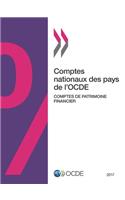 Comptes nationaux des pays de l'OCDE, Comptes de patrimoine financier 2017