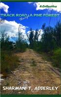 Track Road Through A Pine Forest