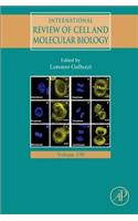 International Review of Cell and Molecular Biology
