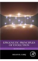 Epigenetic Principles of Evolution