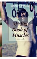 My big book of Muscles