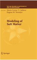 Modeling of Soft Matter