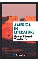 America in Literature