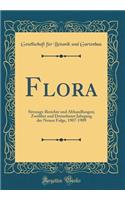 Flora: Sitzungs-Berichte Und Abhandlungen; ZwÃ¶lfter Und Dreizehnter Jahrgang Der Neuen Folge, 1907-1909 (Classic Reprint): Sitzungs-Berichte Und Abhandlungen; ZwÃ¶lfter Und Dreizehnter Jahrgang Der Neuen Folge, 1907-1909 (Classic Reprint)