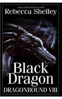 Dragonbound VIII