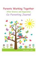 Parents Working Together After Divorce and Separation